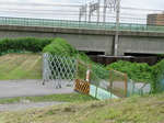 22Aug08-9.jpg